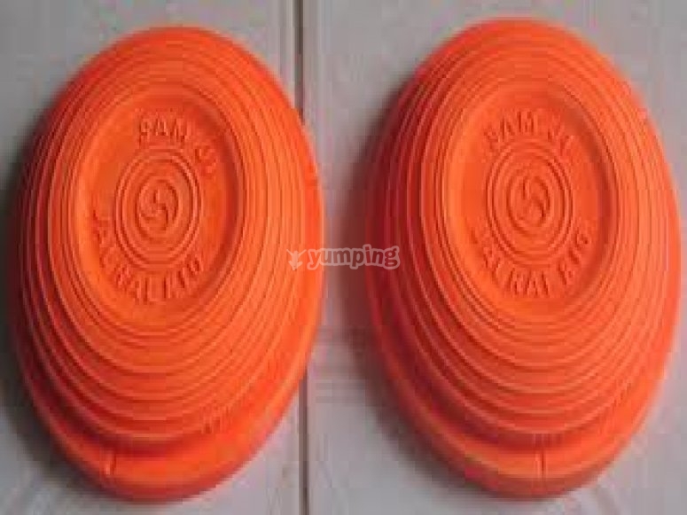 The disks The disks